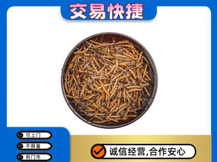 驻马店正阳县回收散虫草